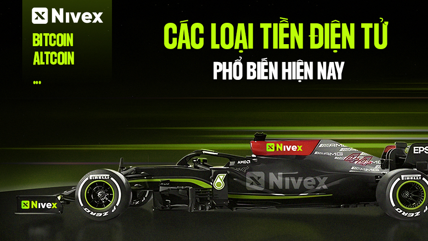 Phân loại các loại tiền điện tử phổ biến nhất hiện nay