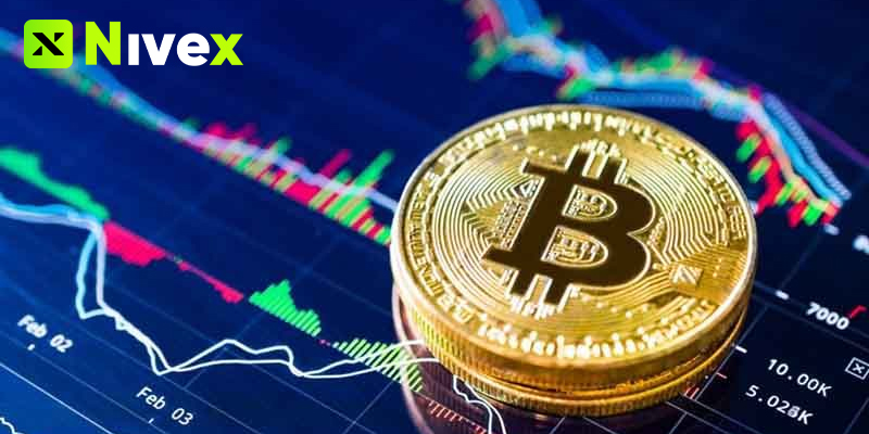 Đầu Tư Crypto Bao Nhiêu Là Đủ?