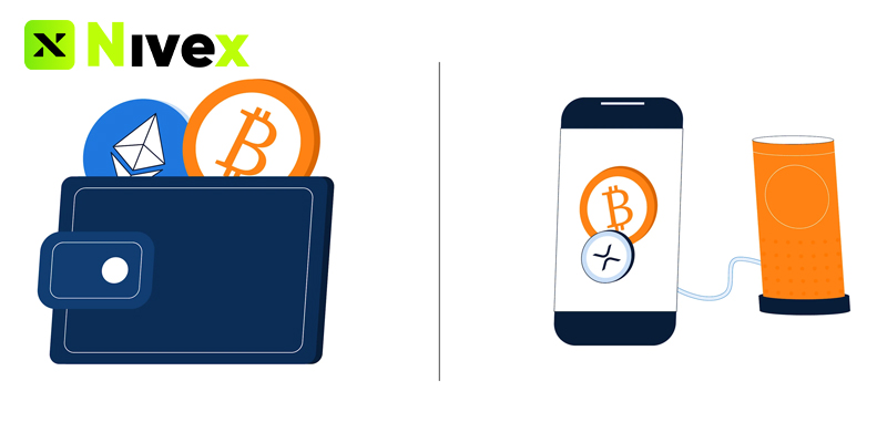 Nên Dùng Hot Wallet Hay Cold Wallet?