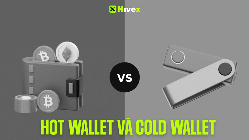 Hot wallet và cold wallet là gì? Nên chọn ví nào cho người mới?