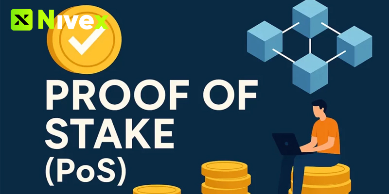Pos Là Gì? Cơ Chế Đồng Thuận Giúp Blockchain Tiết Kiệm Năng Lượng 3 Pos La Gi 1