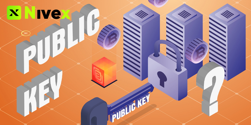 Public Key Là Gì