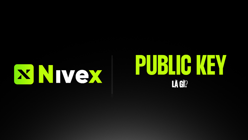 Public key là gì? Cách khóa công khai bảo vệ giao dịch crypto và blockchain