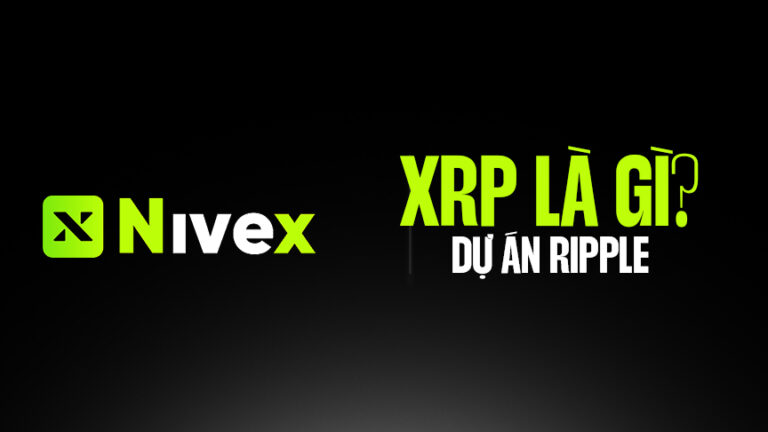 XRP là gì? Toàn diện về XRP coin và XRP Ledger trong hệ sinh thái thanh toán blockchain