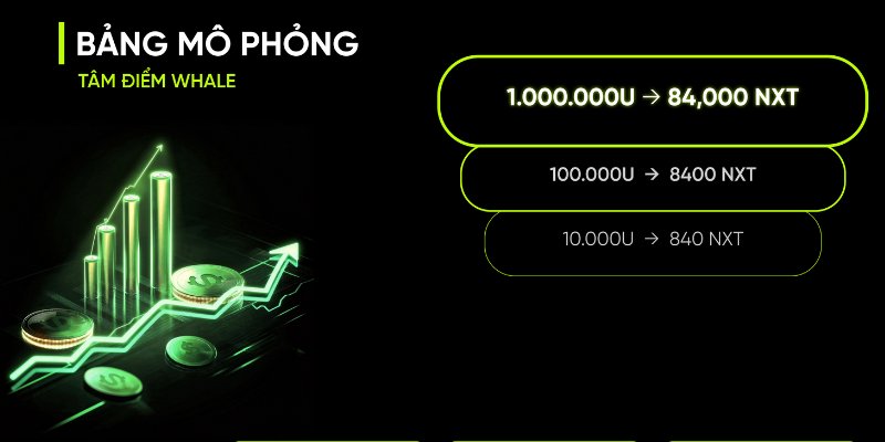 Nivex 2Nd Anniversary – Cẩm Nang Tích Lũy Điểm Nxt 6 Bảng Mô Phỏng Airdrop Nxt