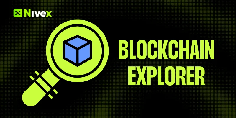 Blockchain Explorer Là Gì