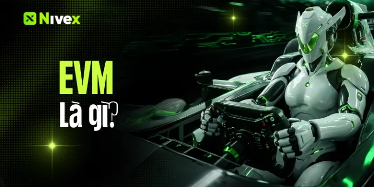 EVM là gì