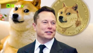 Dogecoin Là Gì? Tìm Hiểu Về Dự Án Tiền Ảo Doge 3 Elon Musk Với Dogecoin