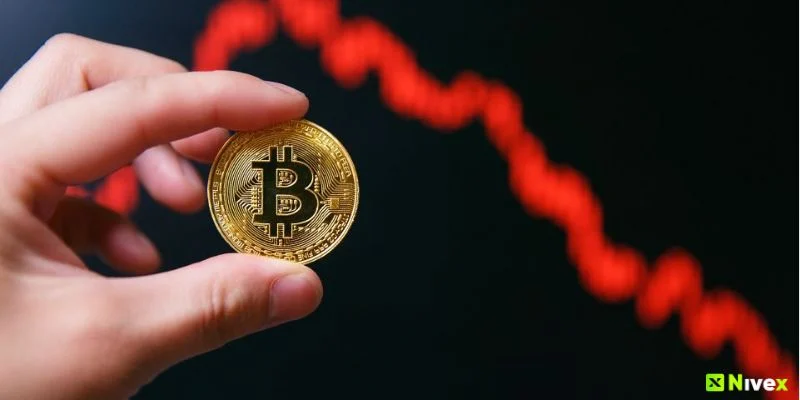 Panic Sell Có Hiệu Ứng Đám Đông